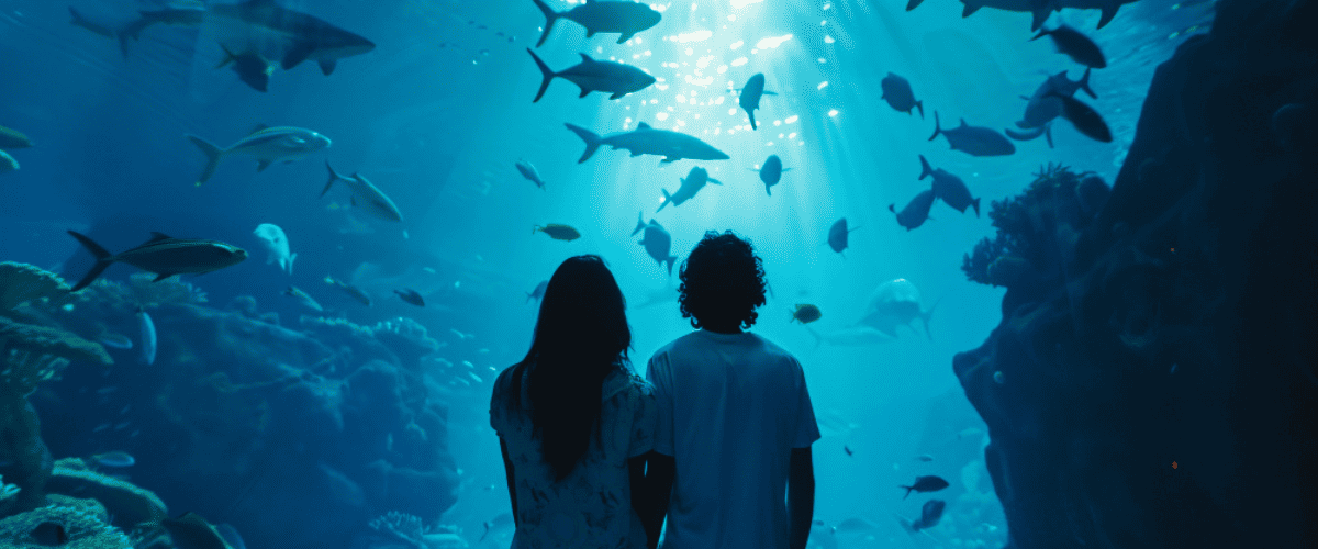AQUARIUM CONSTRUCTION: HOW BLU TECHNOLOGIES BUILT WORLD-CLASS AQUARIUMS ...